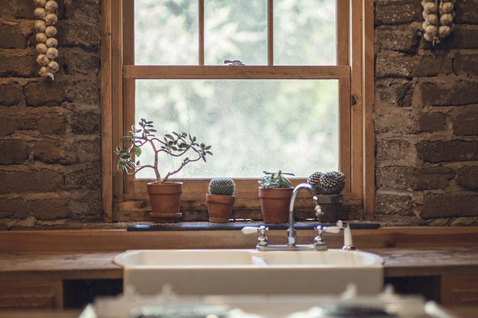 kitchen sink cactus window plants taps faucet