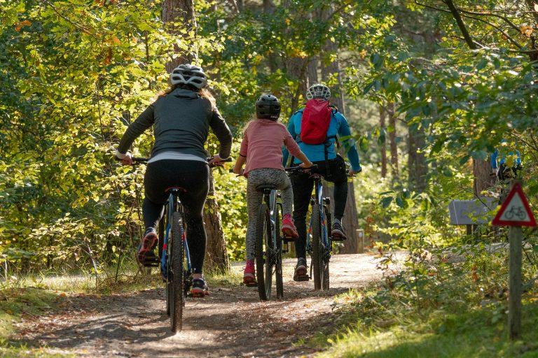 Family cycling on cycle track together